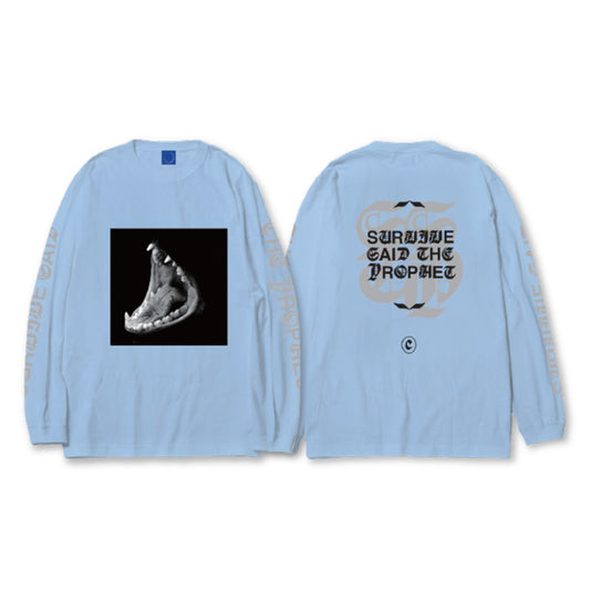 FEAR L/S TEE (SKY)