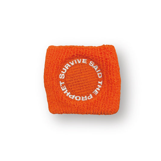 WRISTBAND